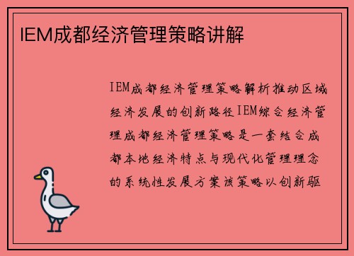 IEM成都经济管理策略讲解